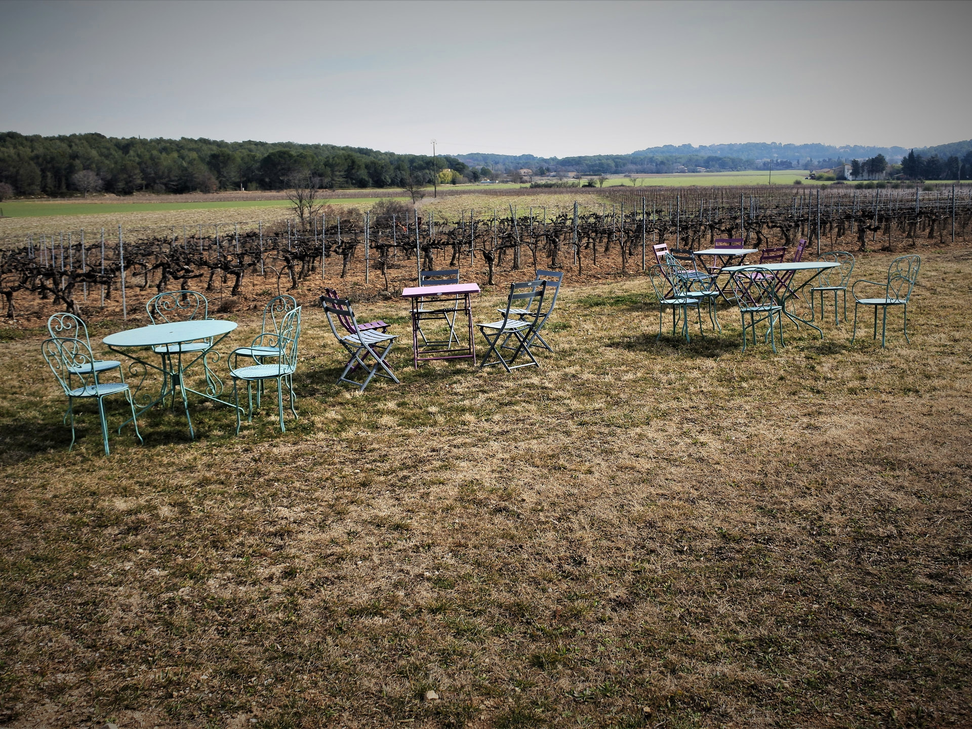 Le Vignoble Aixois Le Vignoble Des Bastides La Plaine De La